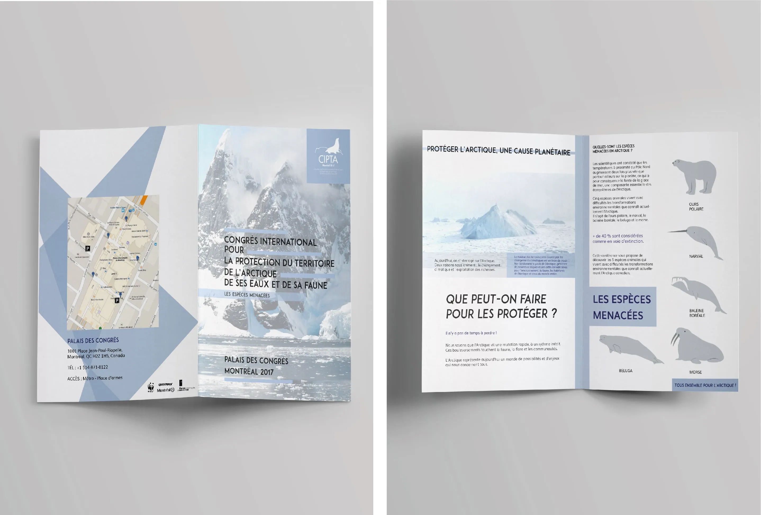 Plaquette Arctique